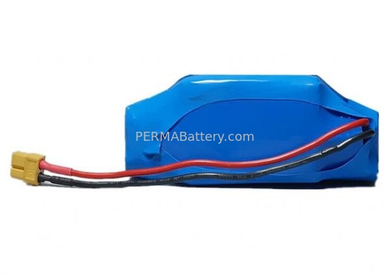 China Li-ion 18650 10S2P 36V 5.8Ah Battery Pack with Protection PCB and Connector for LEVs supplier