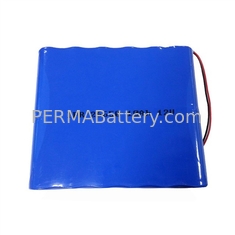 China Li-FePO4 12V 10000mAh Battery Pack with PCB and Flying Leads for UPS Systems supplier
